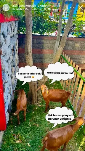 Özel Altınbaşak Çocuk Akademi Anaokulu