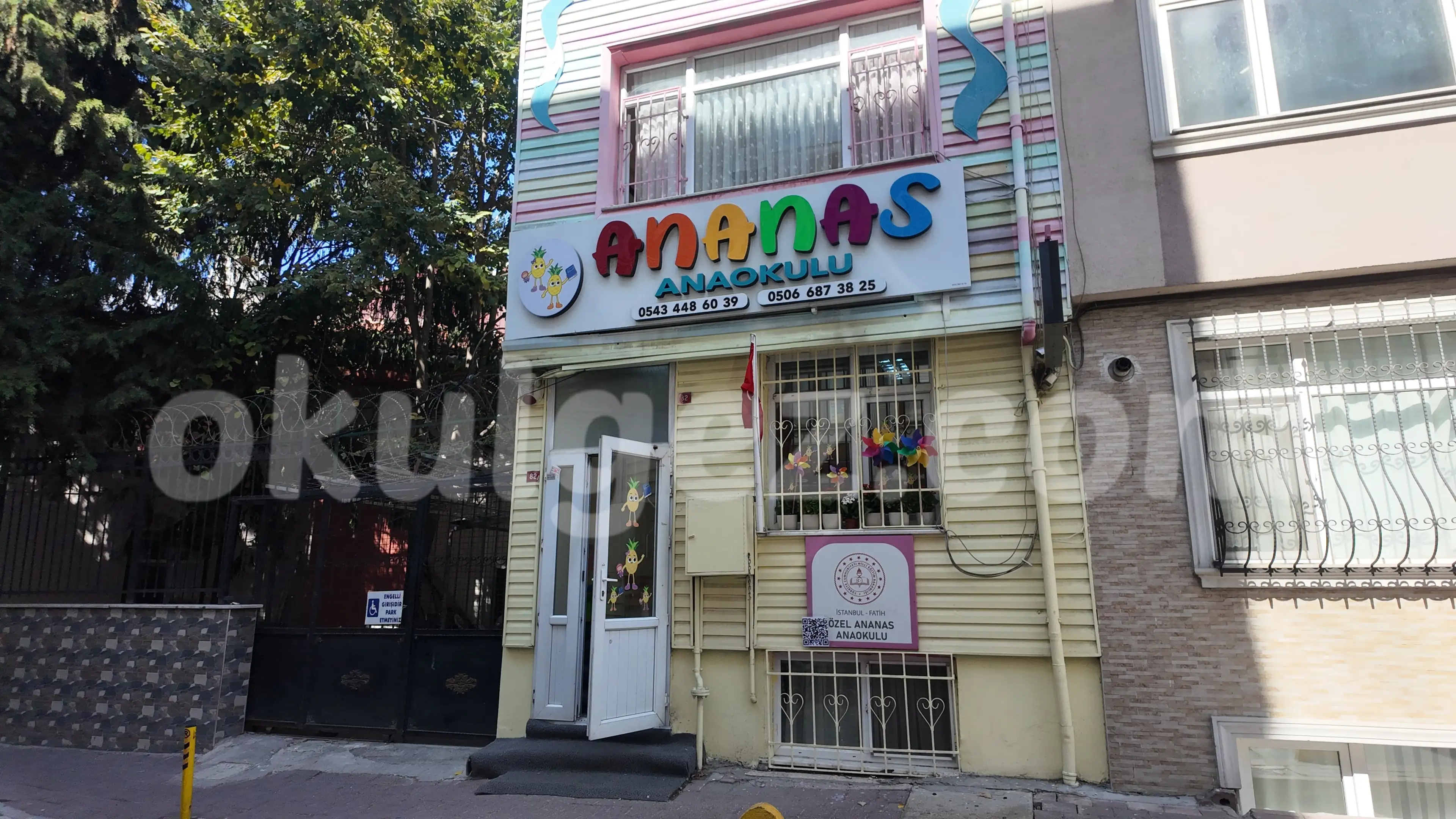 Özel Ananas Anaokulu