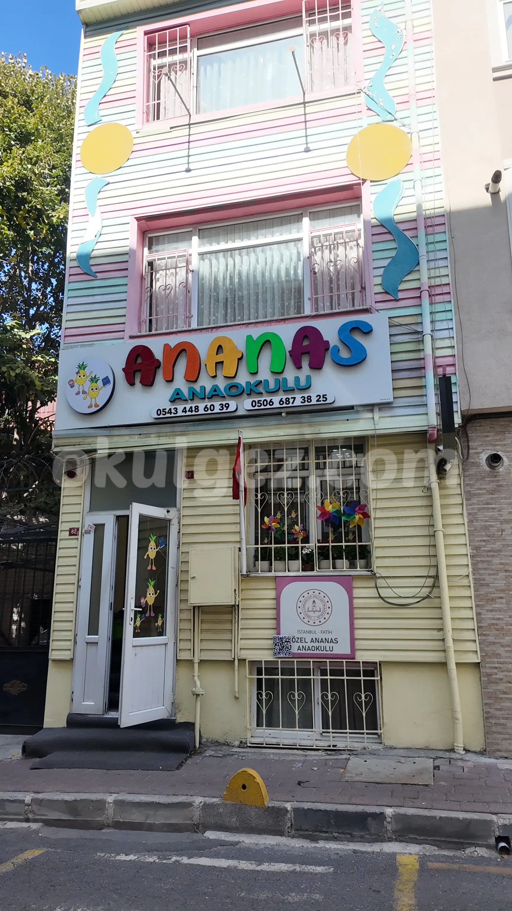 Özel Ananas Anaokulu