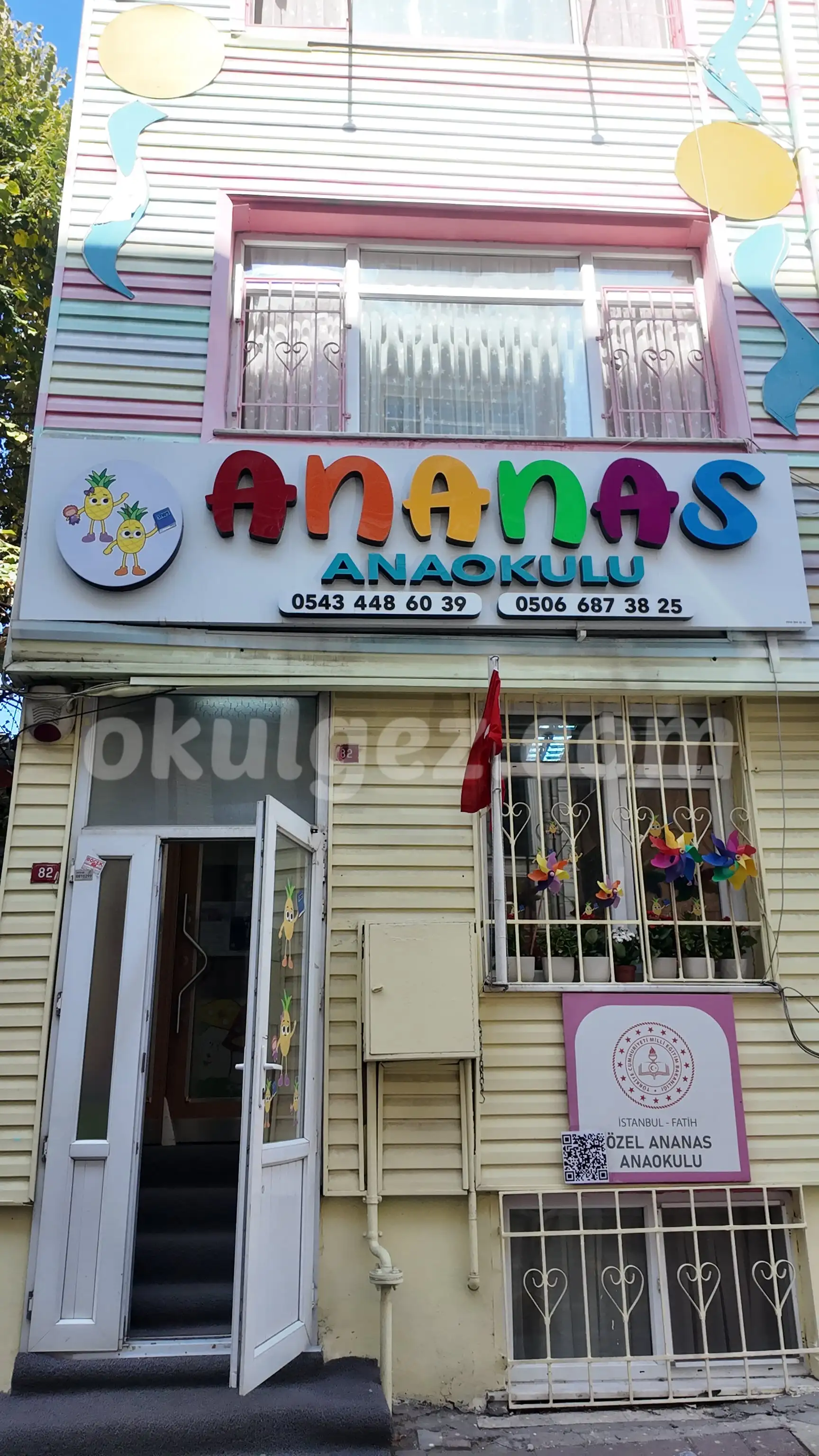 Özel Ananas Anaokulu
