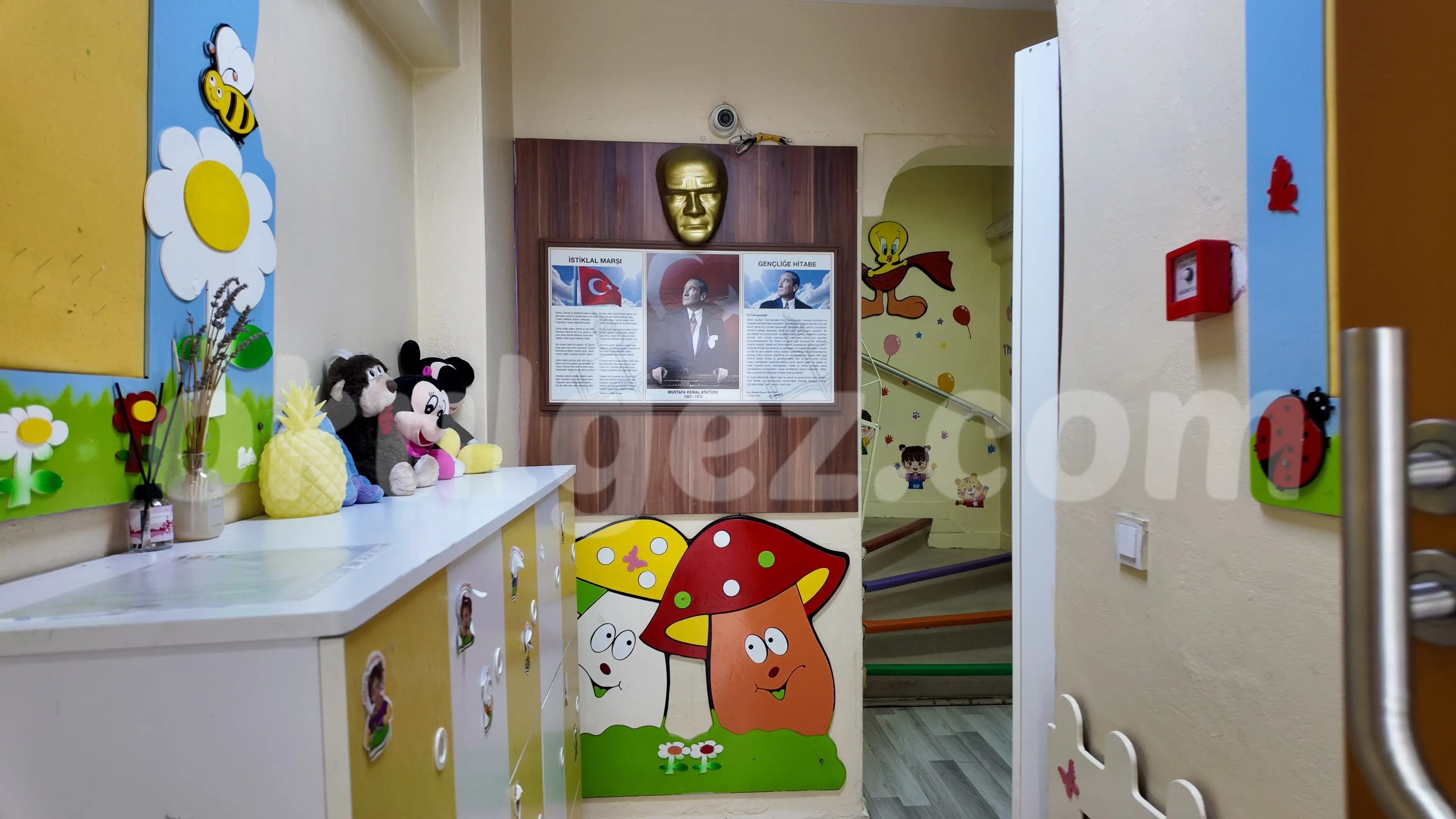 Özel Ananas Anaokulu