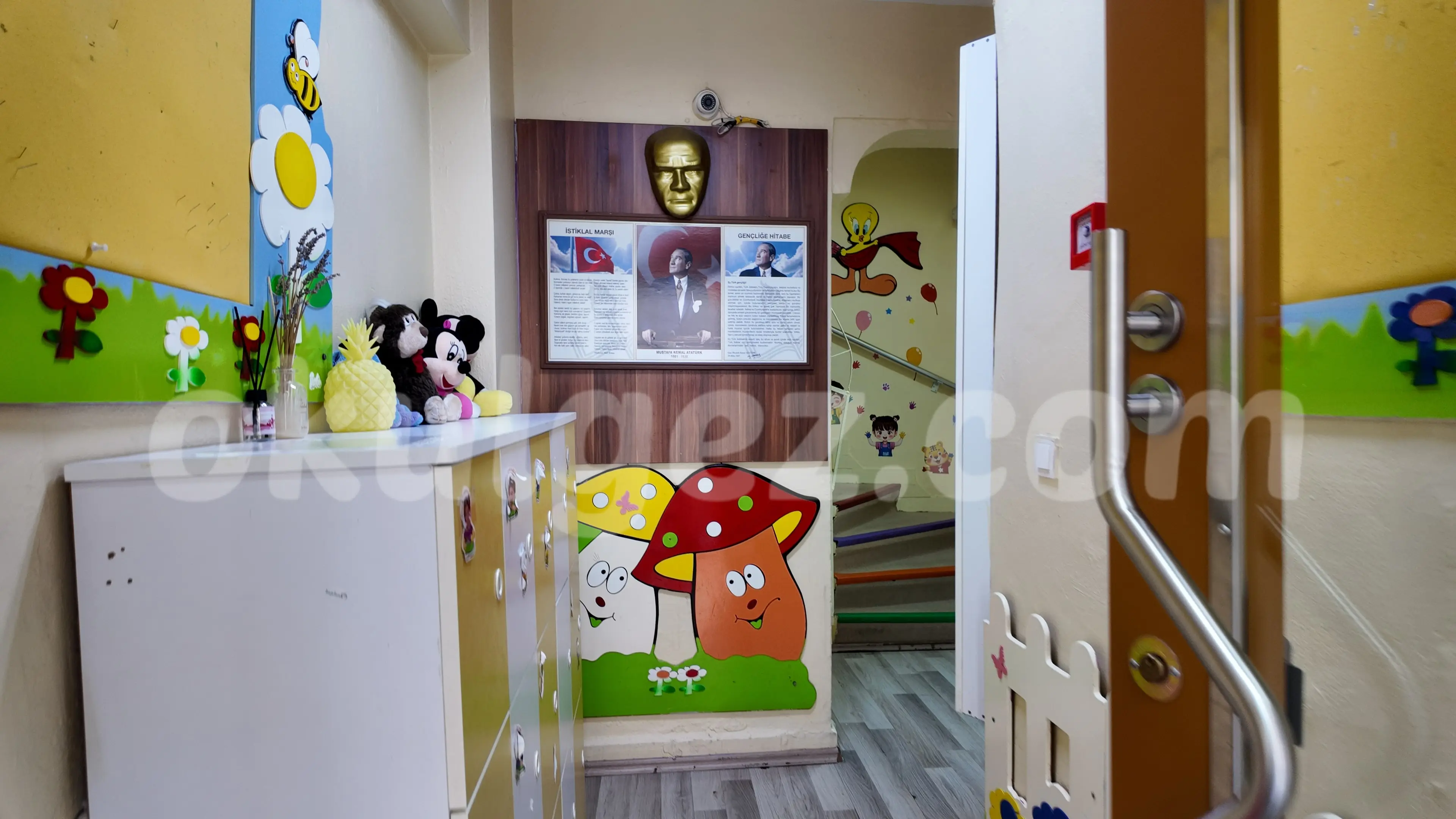 Özel Ananas Anaokulu