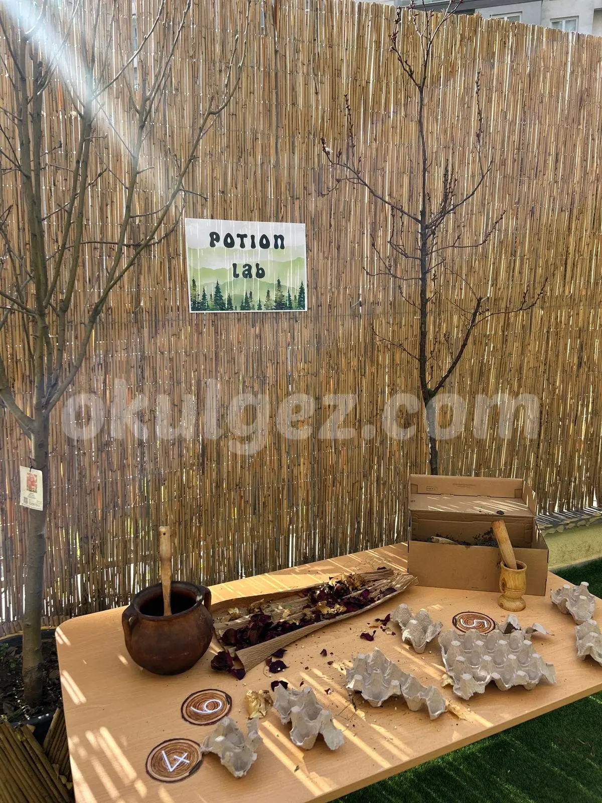 Özel Anka Akademisi Anaokulu Atakent Halkalı