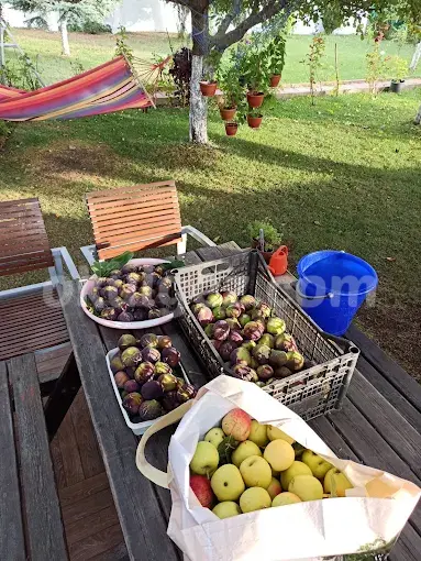 ÖZEL Halkalı Atakent Anka Cng Anaokulu