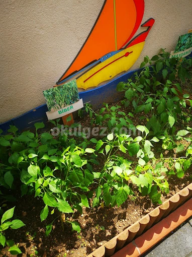 Özel Ataşehir Renkli Yetenek Anaokulu