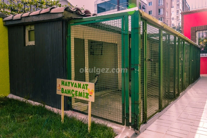 Özel Atölye Kuşağı Anaokulu