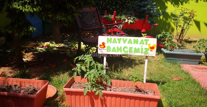 Özel Atölye Kuşağı Anaokulu