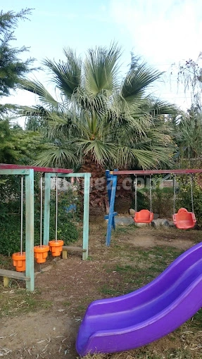 Özel Avcılar Okyanus Koleji Anaokulu