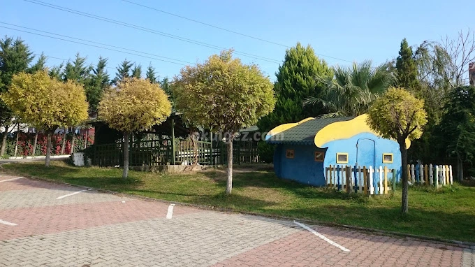 Özel Avcılar Okyanus Koleji Anaokulu