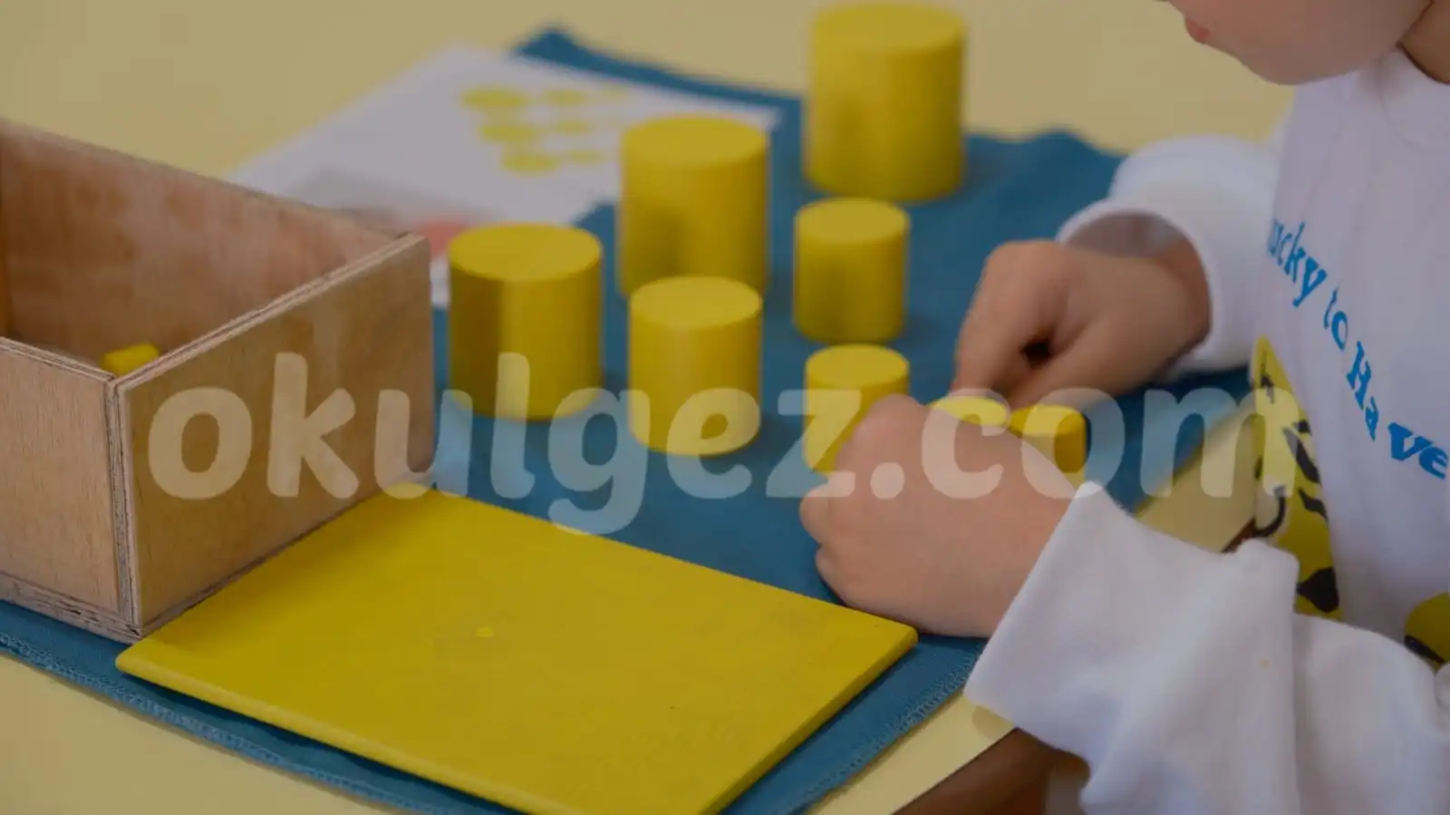 Özel Bahariye Montessori Anaokulu