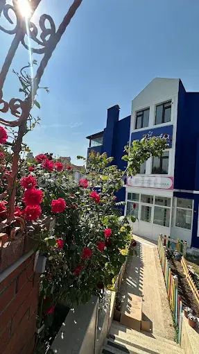 Özel Bahçeşehir Atlantis Star Anaokulu