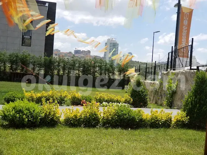 Özel Bahçeşehir Gymboree Anaokulu