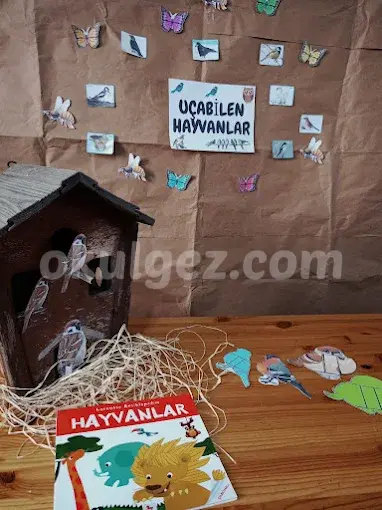 Özel Bahçeşehir Sevgi Elleri Anaokulu