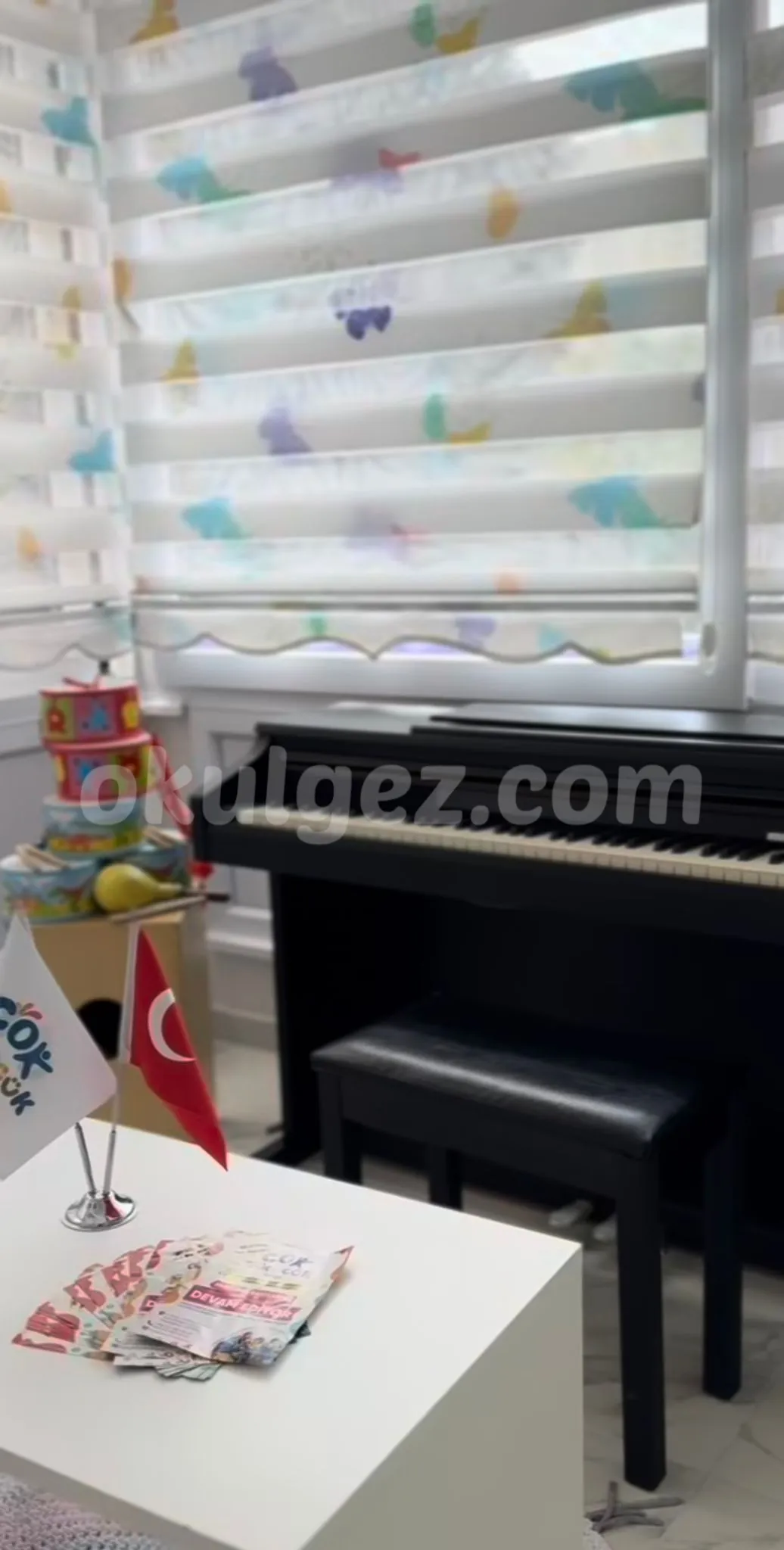 Özel Başakşehir Çok Gülücük Anaokulu
