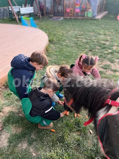 Özel Beykent Düşle Anaokulu