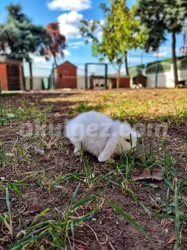 Özel Beykent Kids Aloud Anaokulu