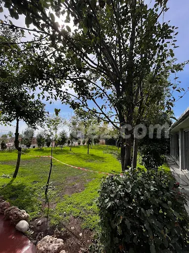 Özel Beylikdüzü Bilim Vadisi Okulları Anaokulu