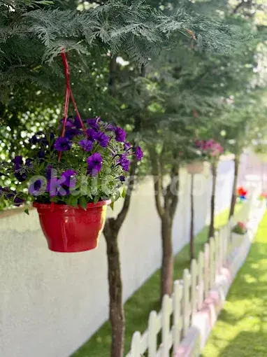 Özel Beylikdüzü Gülistan Anaokulu