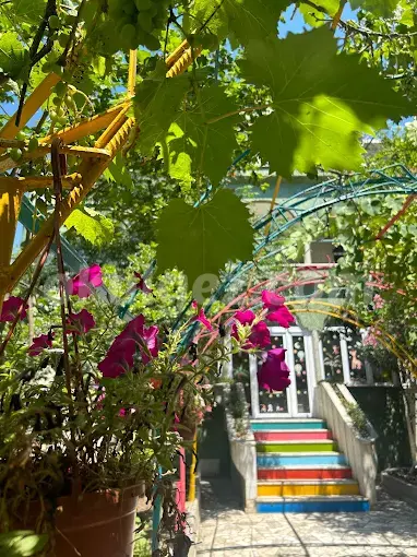 Özel Beylikdüzü Hayal Bahçem Anaokulu