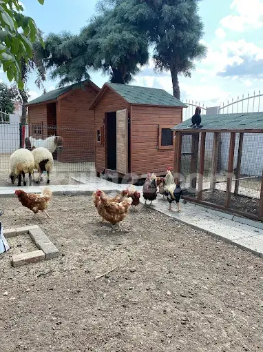 Özel Beylikdüzü İngiliz Kültür Kids Aloud Anaokulu