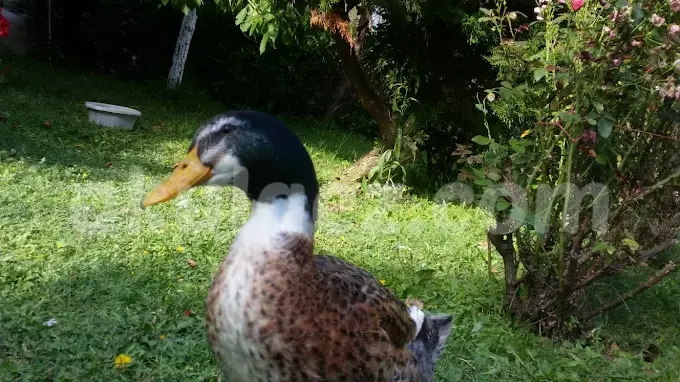 Özel Beylikdüzü Işıl Anaokulu