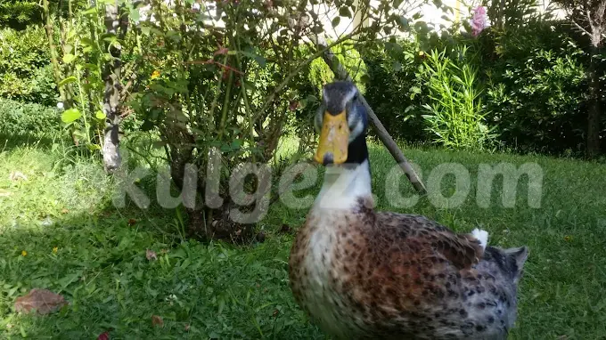 Özel Beylikdüzü Işıl Anaokulu