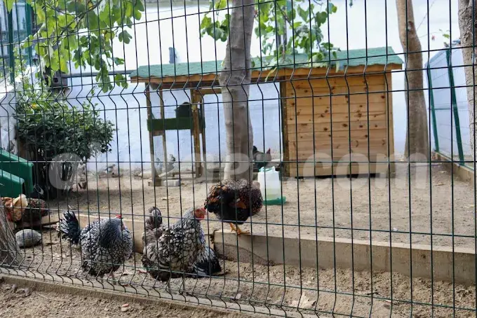 Özel Beylikdüzü Kids Aloud Anaokulu