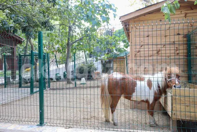 Özel Beylikdüzü Kids Aloud Anaokulu