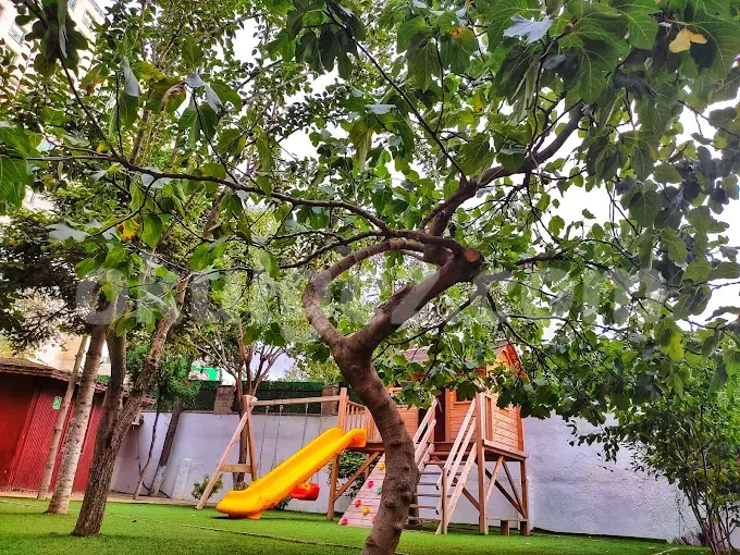 Özel Beylikdüzü Kids Aloud Anaokulu