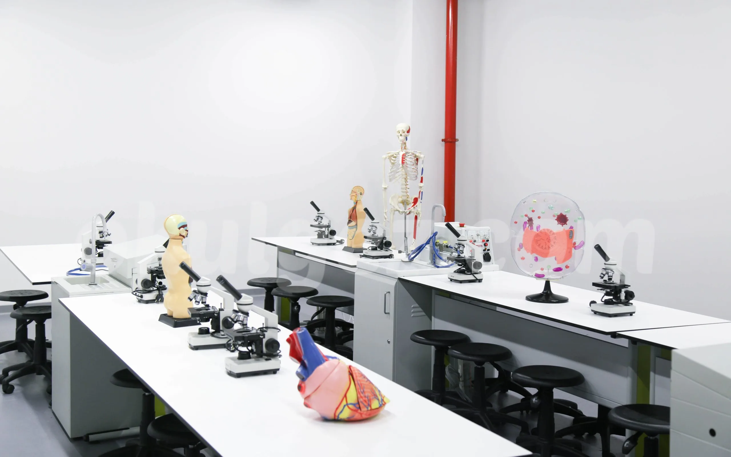 Özel Beylikdüzü Marina Vizyon Koleji Anaokulu