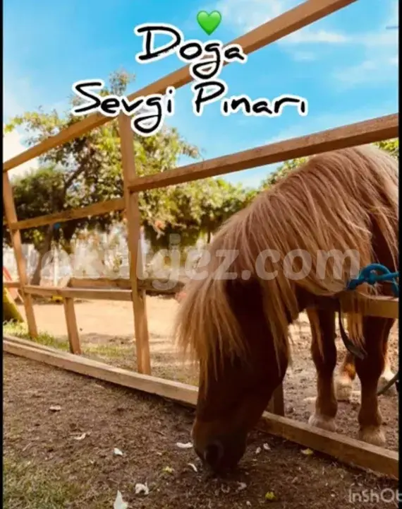 Özel Beylikdüzü Sevgi Pınarı Anaokulu