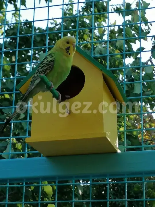 Özel Beylikdüzü Su Anaokulu