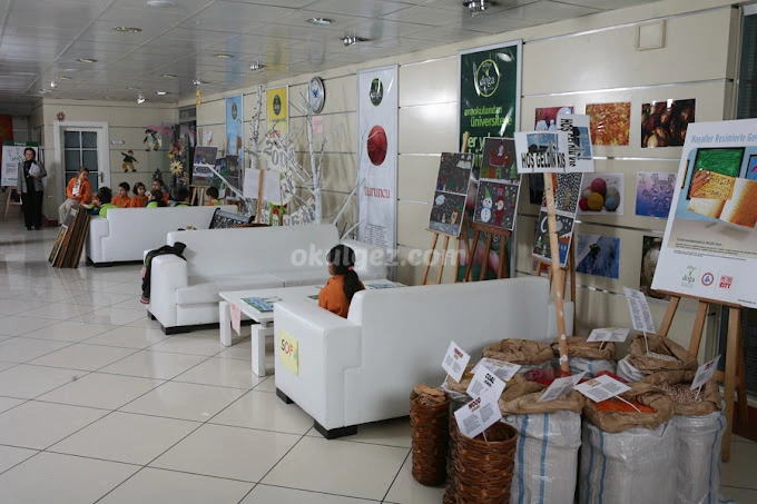 Özel Bostancı Doğa Koleji Anaokulu