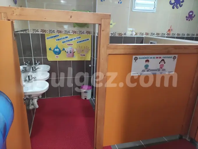 Özel Canku Anaokulu