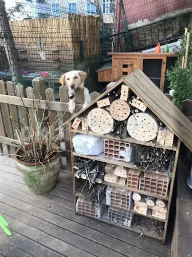 Özel Cogito Anaokulu