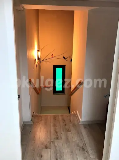 Özel Cogito Anaokulu