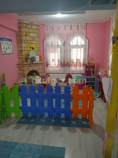 Özel Dahi Beyinler Anaokulu