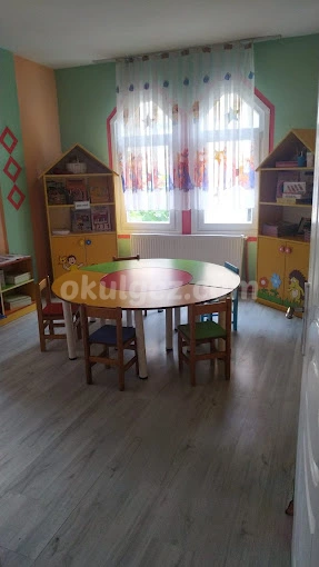 Özel Dahi Beyinler Anaokulu