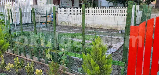 Özel Doğanın Çocukları Anaokulu