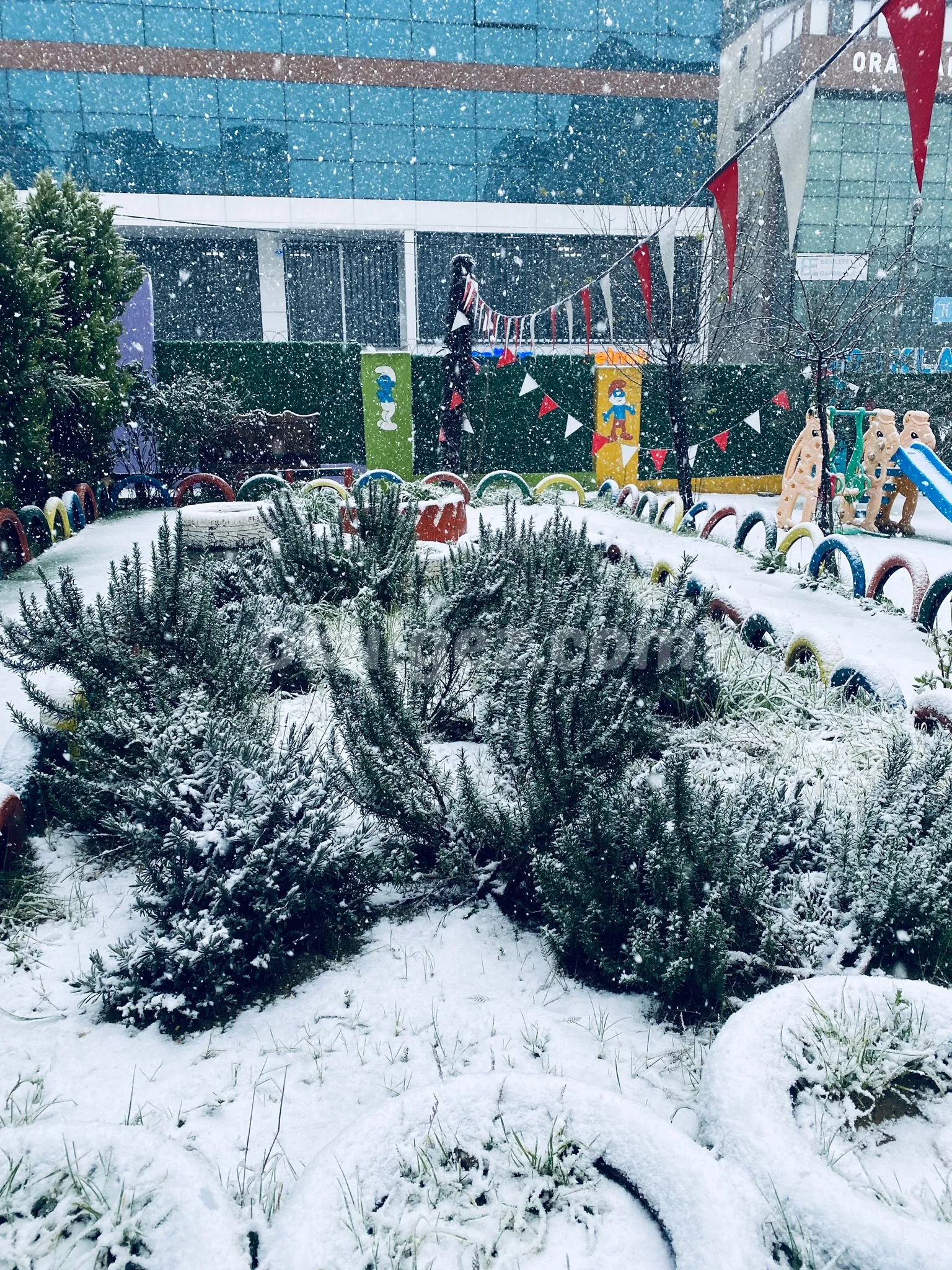 Özel Doğanın Çocukları Anaokulu