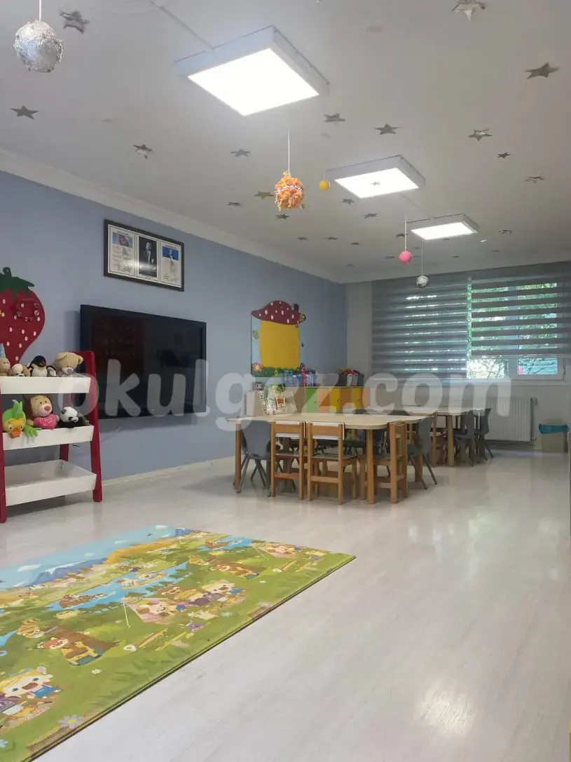 Özel Dört Mevsim Gelişim Anaokulu