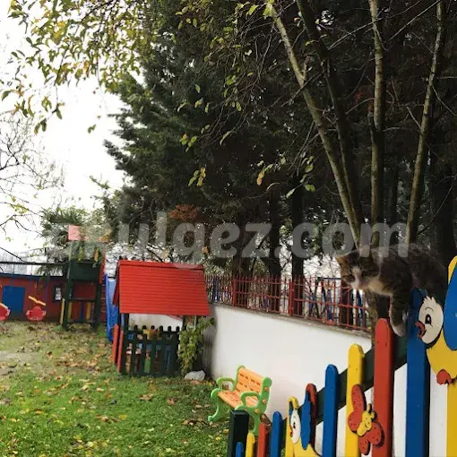 Özel Elit Çocuk Akademisi Anaokulu