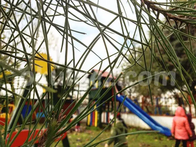 Özel Elit Çocuk Akademisi Anaokulu