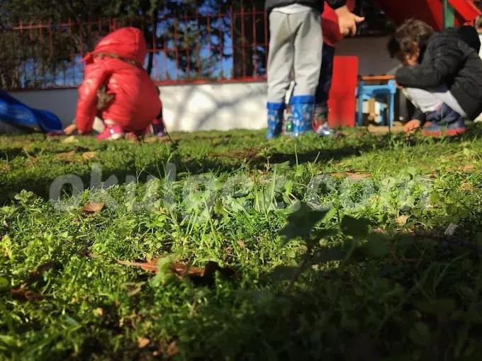 Özel Elit Çocuk Akademisi Anaokulu