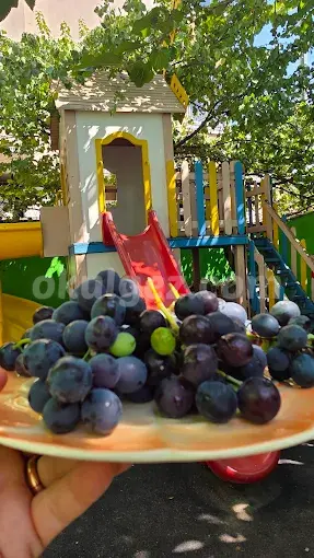 Özel Elmalıkent Yaşasın Sevgi Pınarı Anaokulu