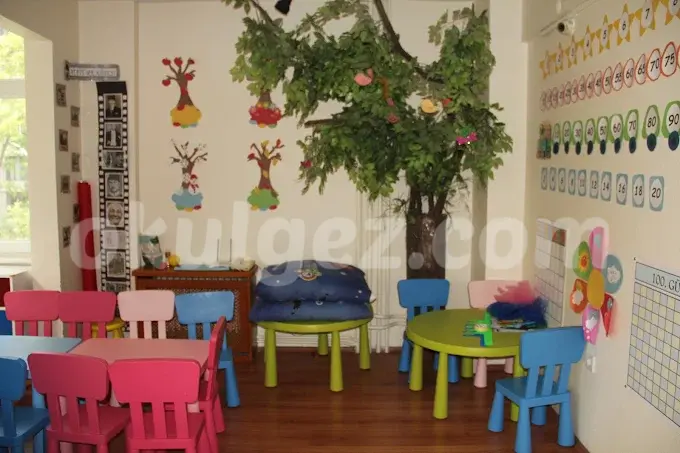 Özel Erenköy İngiliz Kültür Derneği Kids Aloud Anaokulu