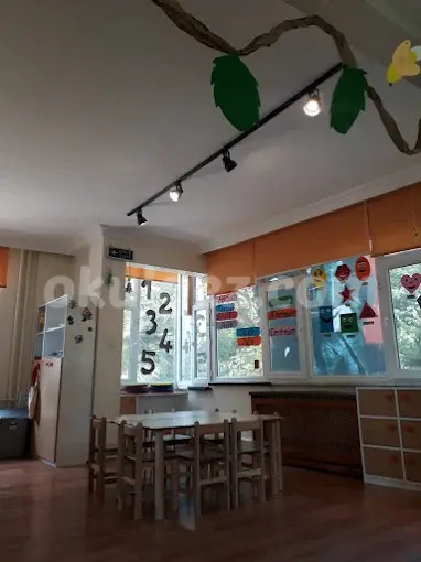 Özel Erenköy İngiliz Kültür Derneği Kids Aloud Anaokulu