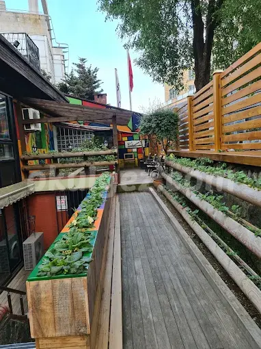 Özel Free Steps Anaokulu