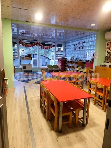 Özel Free Steps Anaokulu