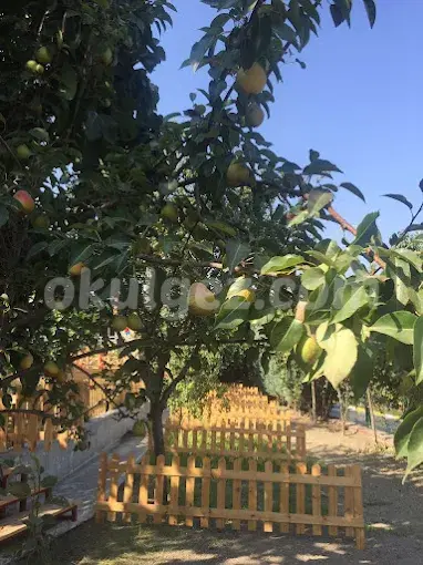 Özel Gelecek Nesil Ekoloji Anaokulu